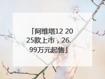 阿维塔12 2025款上市，26.99万元起售