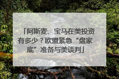 阿斯麦、宝马在美投资有多少？欧盟紧急“盘家底”准备与美谈判