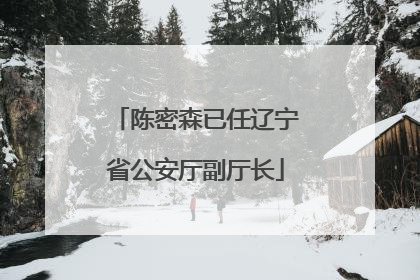 陈密森已任辽宁省公安厅副厅长