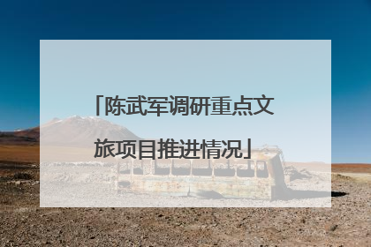 陈武军调研重点文旅项目推进情况