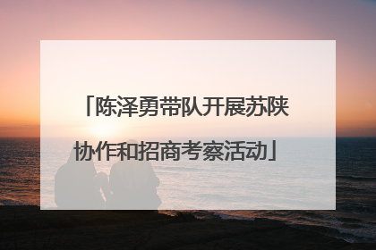 陈泽勇带队开展苏陕协作和招商考察活动