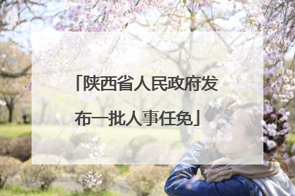 陕西省人民政府发布一批人事任免