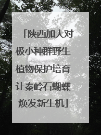 陕西加大对极小种群野生植物保护培育让秦岭石蝴蝶焕发新生机