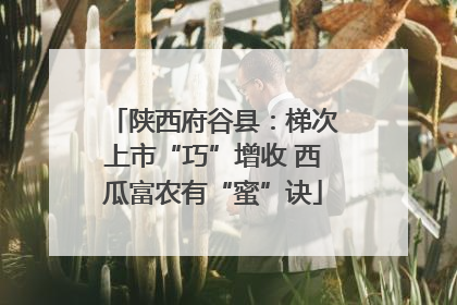 陕西府谷县：梯次上市“巧”增收 西瓜富农有“蜜”诀