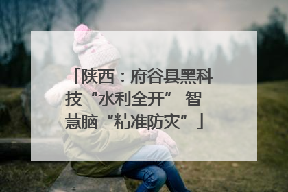陕西：府谷县黑科技“水利全开” 智慧脑“精准防灾”