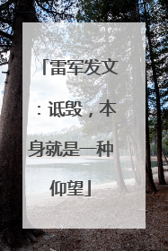 雷军发文：诋毁，本身就是一种仰望