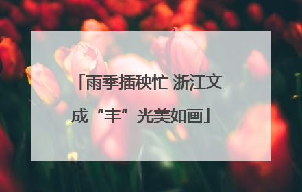 雨季插秧忙 浙江文成“丰”光美如画