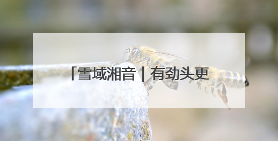 雪域湘音｜有劲头更有奔头 山南市桑日县的这个村落迎来蜕变