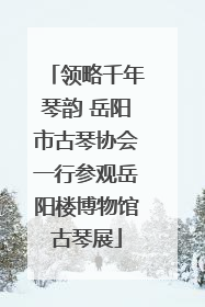 领略千年琴韵 岳阳市古琴协会一行参观岳阳楼博物馆古琴展