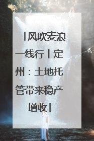 风吹麦浪一线行丨定州：土地托管带来稳产增收