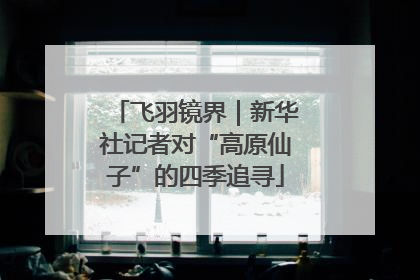 飞羽镜界｜新华社记者对“高原仙子”的四季追寻