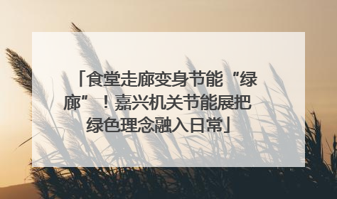 食堂走廊变身节能“绿廊”！嘉兴机关节能展把绿色理念融入日常