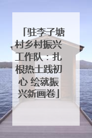 驻李子塘村乡村振兴工作队：扎根热土践初心 绘就振兴新画卷