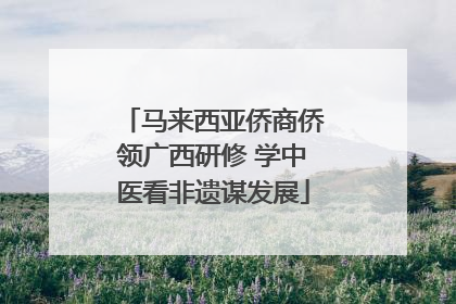 马来西亚侨商侨领广西研修 学中医看非遗谋发展