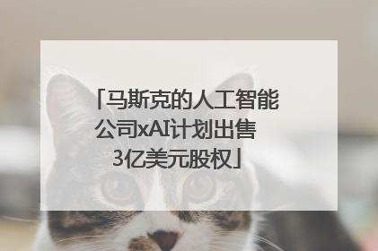 马斯克的人工智能公司xAI计划出售3亿美元股权