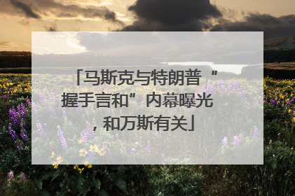 马斯克与特朗普“握手言和”内幕曝光，和万斯有关