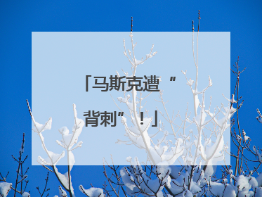 马斯克遭“背刺”！