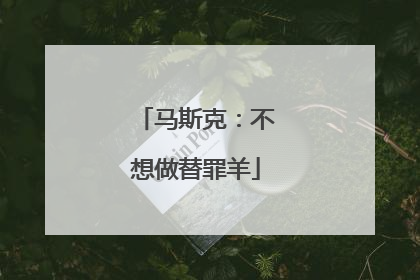 马斯克：不想做替罪羊