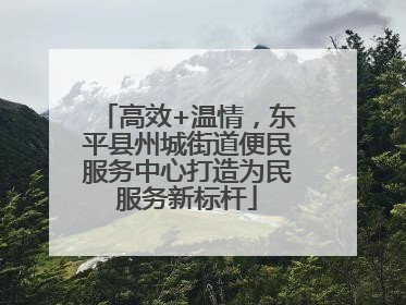 高效+温情，东平县州城街道便民服务中心打造为民服务新标杆
