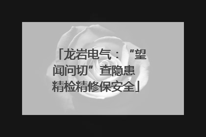 龙岩电气：“望闻问切”查隐患 精检精修保安全