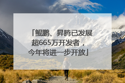 鲲鹏、昇腾已发展超665万开发者，今年将进一步开放