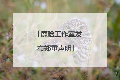 鹿晗工作室发布郑重声明