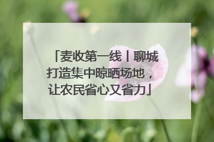 麦收第一线丨聊城打造集中晾晒场地，让农民省心又省力