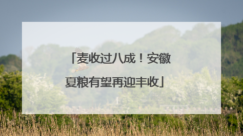 麦收过八成！安徽夏粮有望再迎丰收
