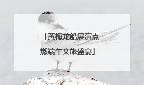 黄梅龙船展演点燃端午文旅盛宴