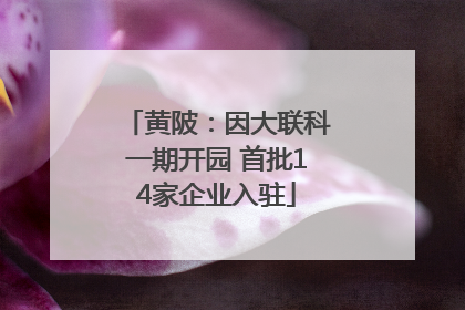 黄陂：因大联科一期开园 首批14家企业入驻