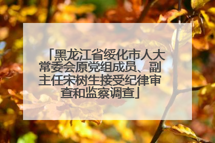黑龙江省绥化市人大常委会原党组成员、副主任宋树生接受纪律审查和监察调查