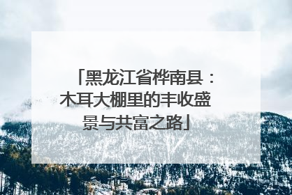黑龙江省桦南县：木耳大棚里的丰收盛景与共富之路