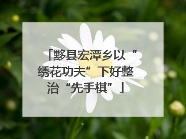 黟县宏潭乡以“绣花功夫”下好整治“先手棋”