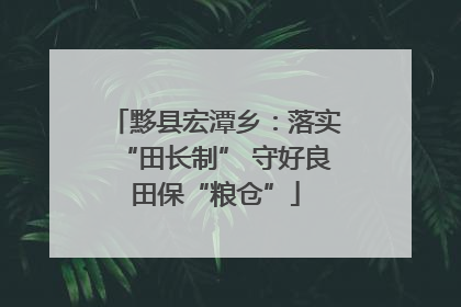 黟县宏潭乡：落实“田长制” 守好良田保“粮仓”