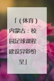 （体育）内蒙古：校园足球课程建设异彩纷呈