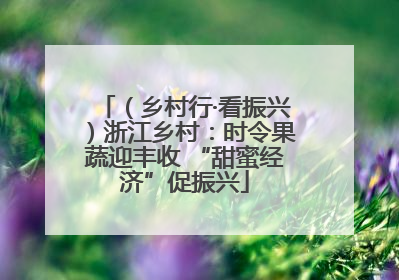 （乡村行·看振兴）浙江乡村：时令果蔬迎丰收 “甜蜜经济”促振兴