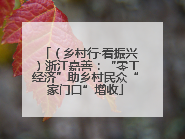 （乡村行·看振兴）浙江嘉善：“零工经济”助乡村民众“家门口”增收
