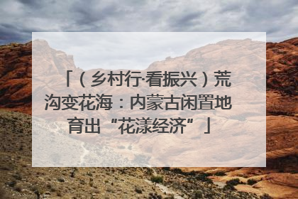 （乡村行·看振兴）荒沟变花海：内蒙古闲置地育出“花漾经济”