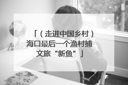 （走进中国乡村）海口最后一个渔村捕文旅“新鱼”