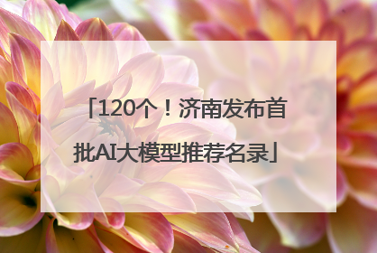 120个！济南发布首批AI大模型推荐名录