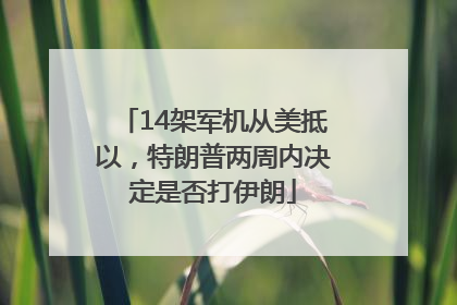 14架军机从美抵以，特朗普两周内决定是否打伊朗