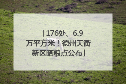 176处、6.9万平方米！德州天衢新区晒粮点公布