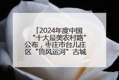 2024年度中国“十大最美农村路”公布，枣庄市台儿庄区“鲁风运河”古城文化廊道上榜！