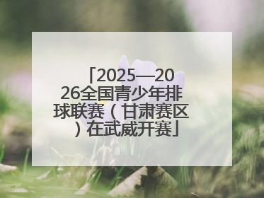 2025—2026全国青少年排球联赛（甘肃赛区）在武威开赛