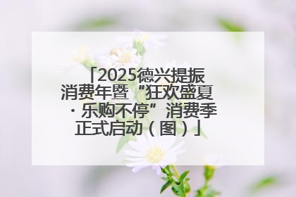 2025德兴提振消费年暨“狂欢盛夏・乐购不停”消费季正式启动（图）