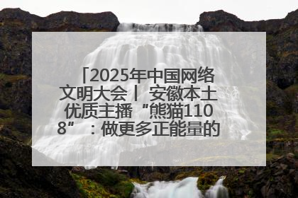 2025年中国网络文明大会丨 安徽本土优质主播“熊猫1108”：做更多正能量的事情 带给大家快乐