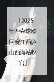 2025年匹克球巡回赛江西庐山西海站收官