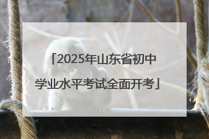 2025年山东省初中学业水平考试全面开考