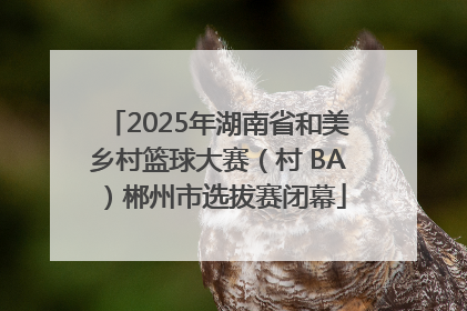 2025年湖南省和美乡村篮球大赛（村 BA）郴州市选拔赛闭幕