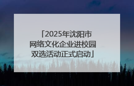 2025年沈阳市网络文化企业进校园双选活动正式启动